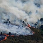 Kebakaran Hutan di Eropa Picu Evakuasi Puluhan Ribu Warga